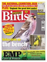 Cage & Aviary Birds